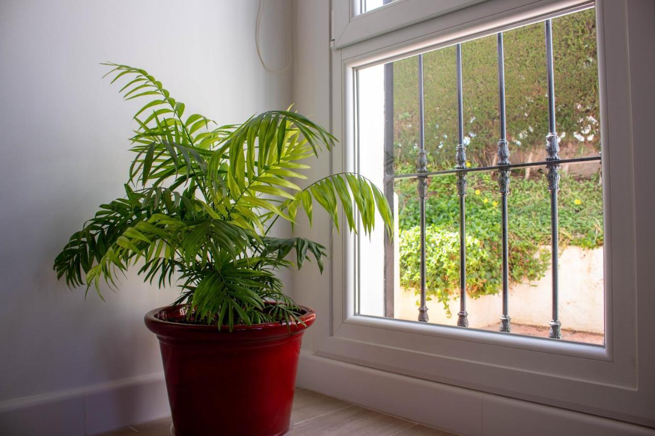 Apartment Apto. Barbacana. Tranquilidad En Costa Del Sol Caleta De Velez